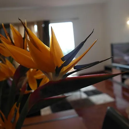 Inmaculado Apartment Funchal  Buitenkant foto